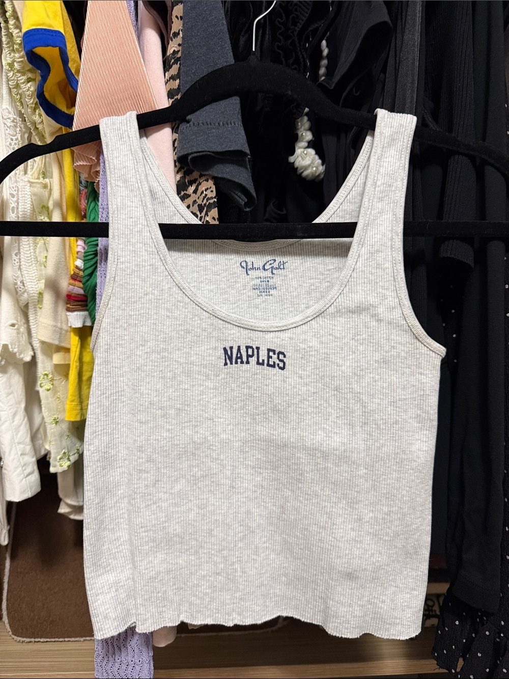 John Galt Brandy Melville Naples Tank Top